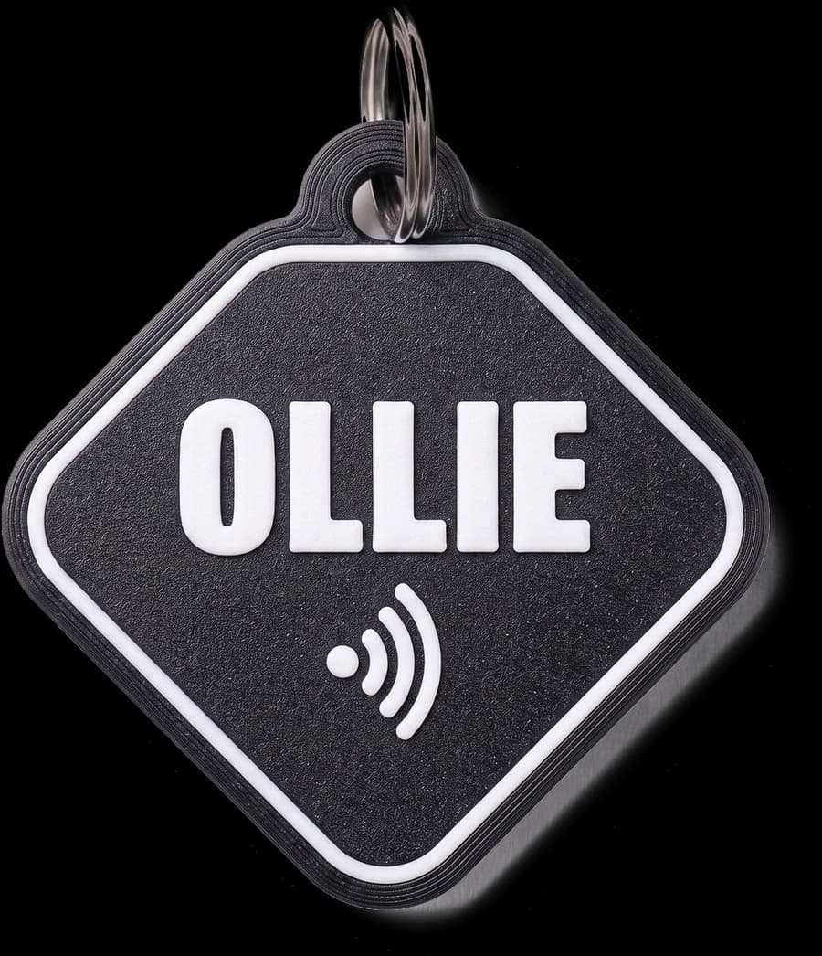Tag Guizo preta com o nome OLLIE gravado em branco, símbolo de aproximação e argola de aço